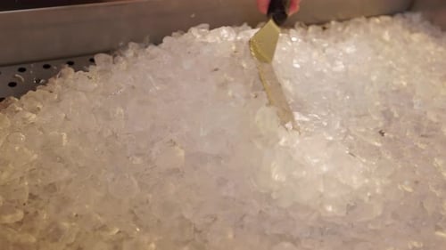 Spatula Scooping Crushed Ice in a Tray