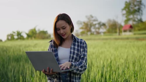 Farmer or researcher check and gather information barley rice farm field for Agricultural research