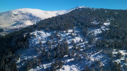 Snowy Mountains and Evergreen Forest Aerial View