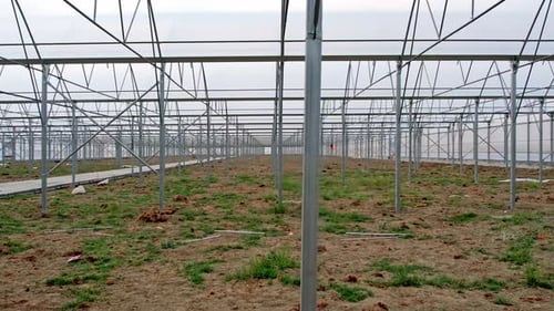Structure de construction de serres en acier dans une zone agricole