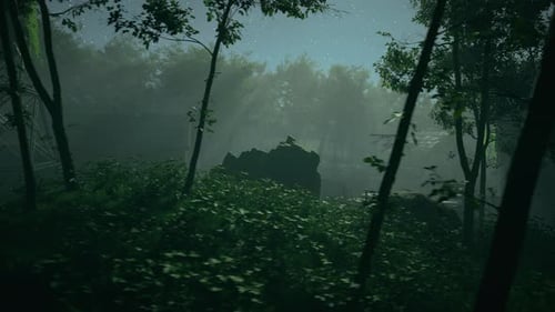 Overview of an abandoned forest settlement at night, post-apocalyptic setting.