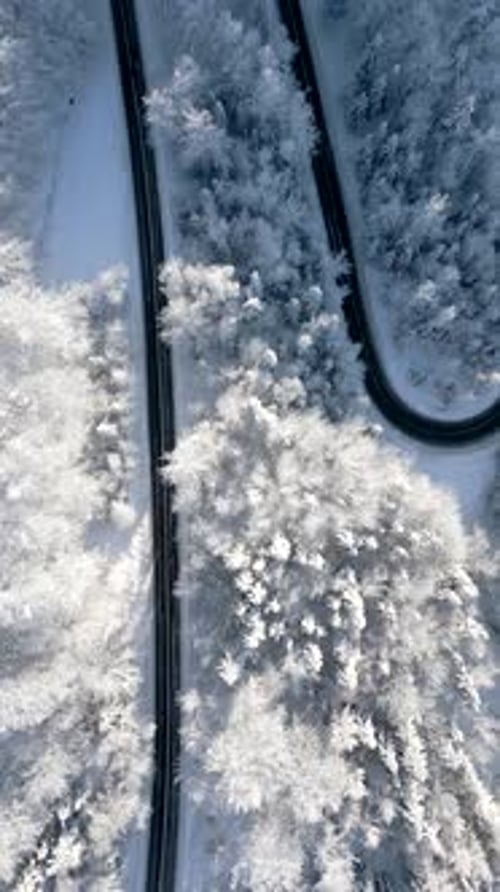 Scenic Road Through a Snowy Winter Mountain Forest
