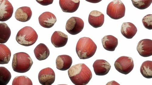 Falling Hazelnuts Realistic 3D Animation Loop