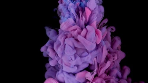 Colorful Pink and Blue Ink Swirling Abstractly
