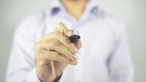 Man Writes the Motivational Phrase 'Live Your Dream'