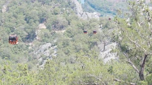 Cable car, funicular. Red funiculars move up and down, go uphill through the forest. The river flows