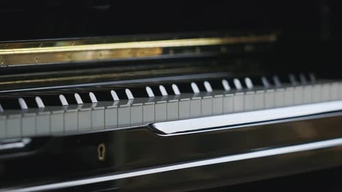 Les touches de piano paisibles et brillantes reposent tranquillement dans une douce lumière ambiante