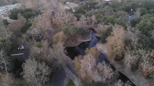 Flying Over A Pond