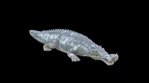 Wild Crocodile Idle 3