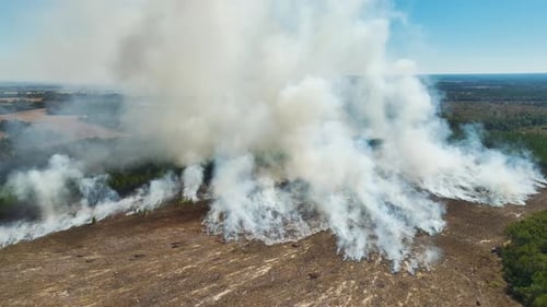 View From Above of Dense Smoke From Woodland and Field on Fire Rising Up Polluting Air