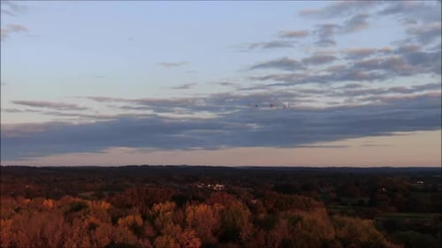 Pájaros majestuosos que vuelan tranquilamente sobre los árboles, otoño. Toma aérea con un Zumbido. Una foto relajante.