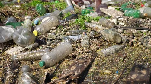 Many Plastic Bottles Lying on Green Lawn at Forest Trash is Dumped in Open and Freely Available