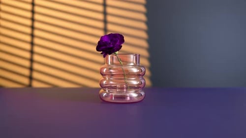 Delicate Lavender Flower Graces a Blushtoned Container in the Sunshine The Fragile Bloom Embellishes