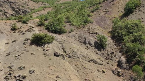 Vue aérienne d'un troupeau de chèvres sauvages courant à travers les montagnes