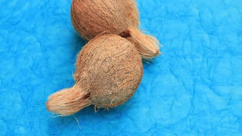 Close Up of Coconuts on Blue Background