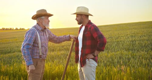 Senior Farmer Engineer and Young Intern Working at the Field Mature Specialist Telling Something to