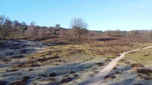 Drone shot slowly going forward of nature national park.