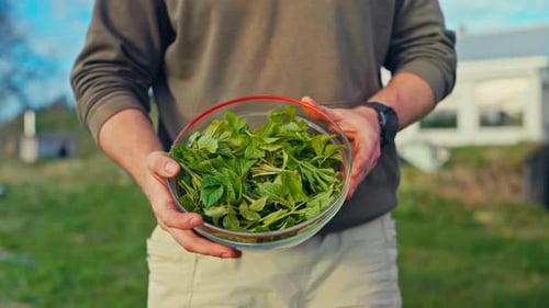 Cropped View Of A Man Holding A Glass Bowl Full Of Organic Herb Leaves. Close-up Shot