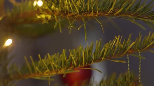 Focus Pull to Decorated Christmas Fir Tree with Lights and Ornaments including Bourballs