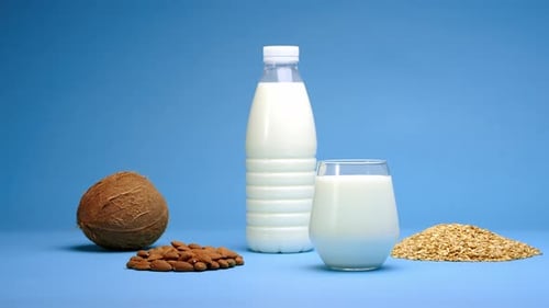 Almond, Coconut, and Oat Milk Still Life