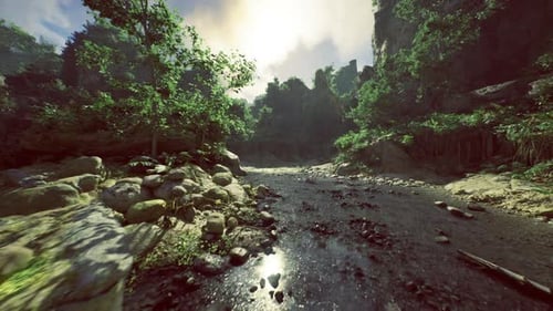 Immersive 3D Flythrough of a Rocky Jungle River