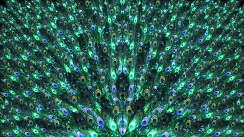 Animated Glowing Peacock Feather Decorative Background