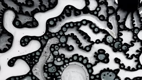 Photo abstraite de motifs liquides en noir et blanc avec des formes organiques et des bulles