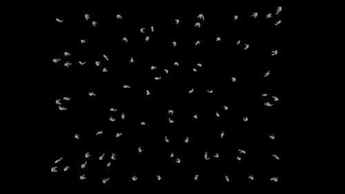 Animated Minimalist Crowd Walking On Black