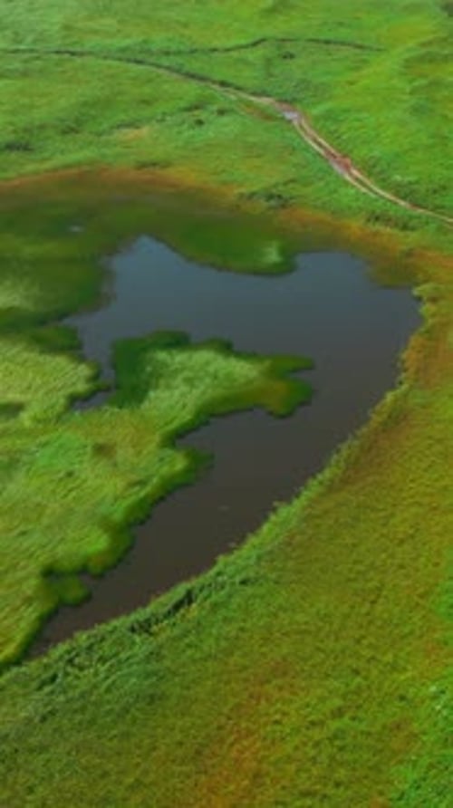 Small Pond on Green Agricultural Field in Spring Clip Aerial of Green Meadow and Tiny Lake