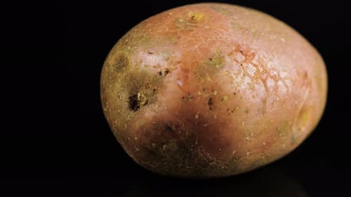 Close Up of a Raw Potato Rotating
