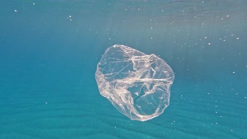 Meeresverschmutzung nimmt Plastiktüten aus dem Meer