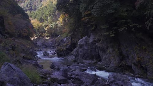 Wunderschöne Schlucht mit fließendem Fluss und Herbstfarben während des Tages