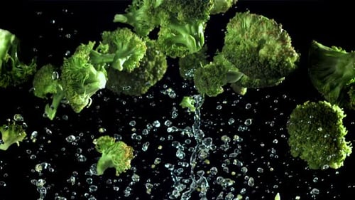 Broccoli Rises and Falls Filmed on a Highspeed Camera at 1000 Fps
