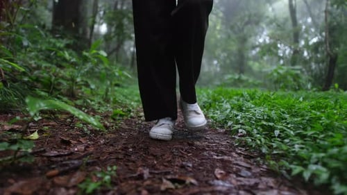 A person is walking through a forest with a blurry background