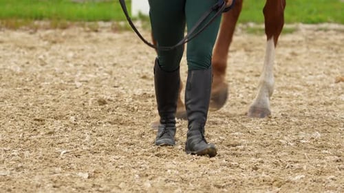 Close-up of a person leading a horse, focusing on their boots and the horse's hooves as they walk th