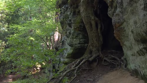 Malerischer Waldweg neben einer Felsformation mit freiliegenden Baumwurzeln in Tilt-Down-Aufnahme