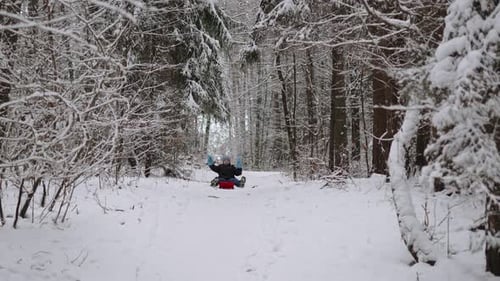 Menino alegre com as mãos levantadas desce a colina em um trenó na floresta após a tempestade de neve