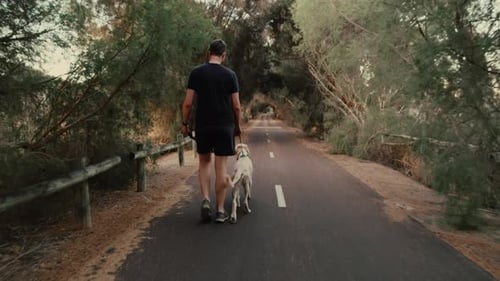 Man walks with his pet on lead through bushes