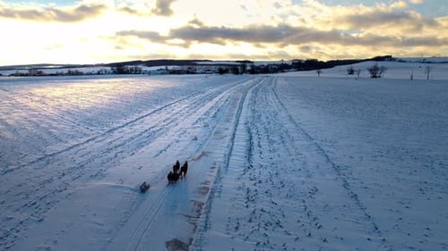 Horses pulling a sleigh with riders on a frozen and snowy road to the village, at bright sunset - dr