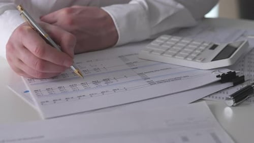 Business Professional Analyzing Monetary Data On Printed Ledgers Office Environment With Accountant