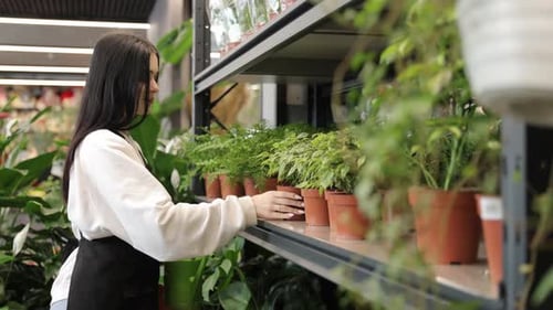 Female Florist Watering Potted Plants in a Garden Center