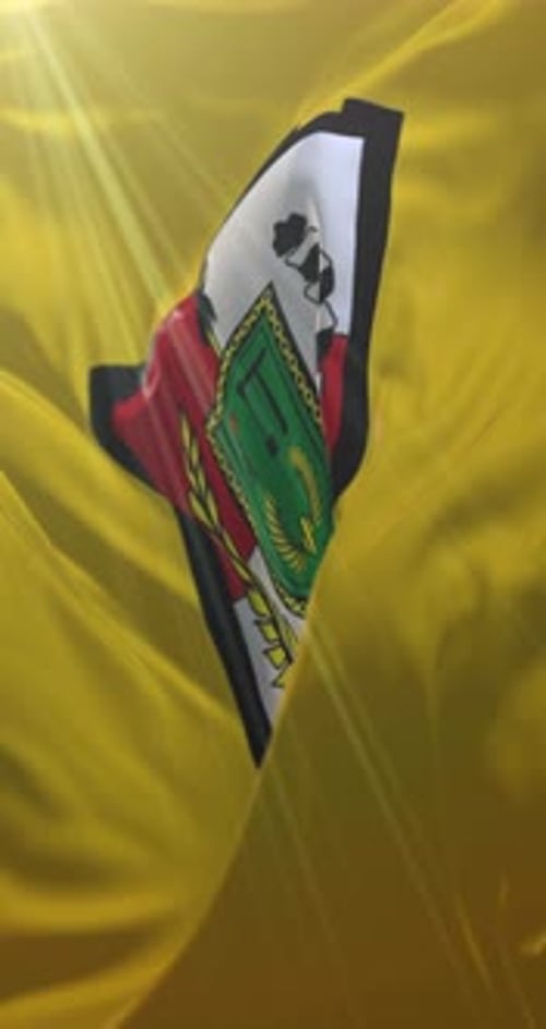 Animated Waving Flag with Detailed Emblem in Vertical Format