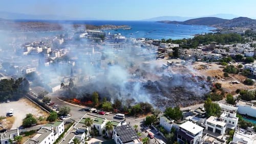 Wildfire Devastation on the Coastline, Aerial View