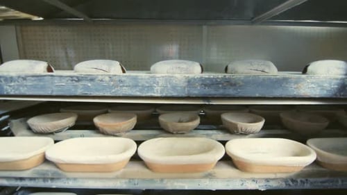 Bread Factory Production Line. Bakery Manufacturing Equipment. Bread Production Process at Bakery