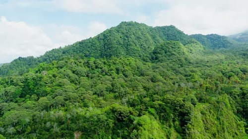 Aerial view of green mountain on forest landscape