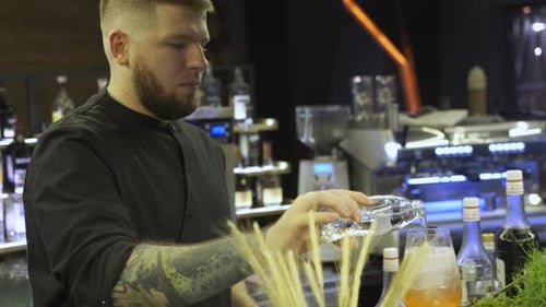 portrait of a bartender preparing a cocktail in a bar