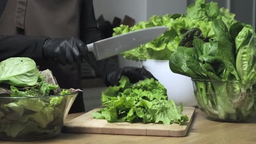 Vegetarian salad with greens. Cutting romaine lettuce green leaves on the home kitchen
