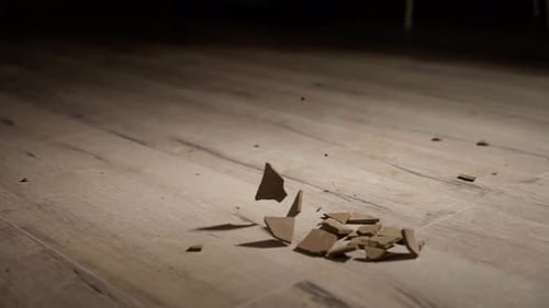 Lone Piece of Broken Ceramic on Wooden Floor with Dramatic Shadow After Fall