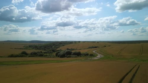 Wheat field aerial view in Ukraine