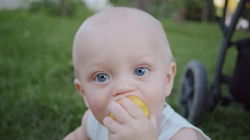 Baby Eating Fruit Outdoors